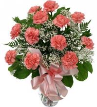 12 Peach Carnations Vase