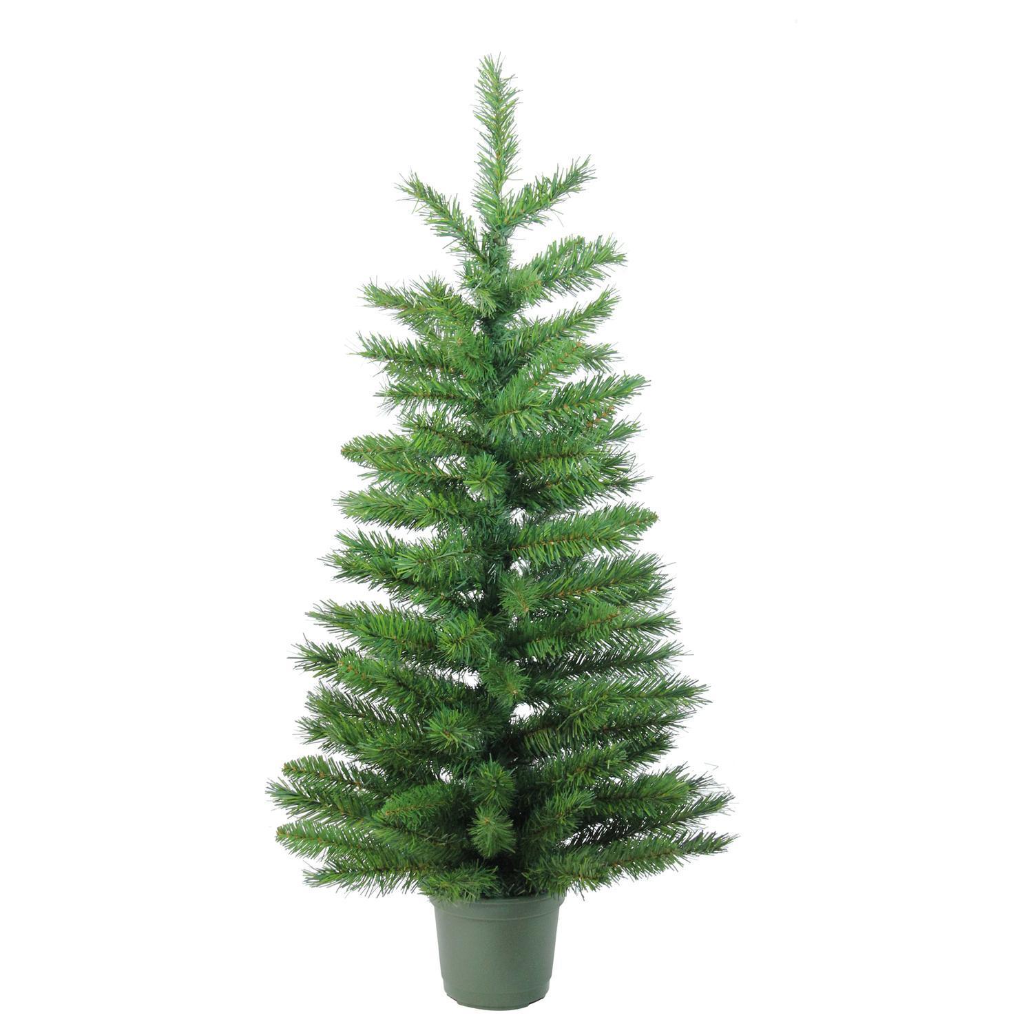 Potted Christmas tree product324